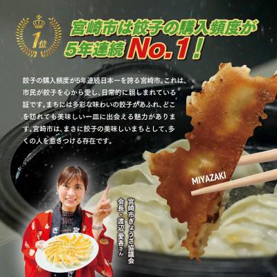 ふるさと納税 宮崎市 宮崎餃子　大満足10点セット |  | 01