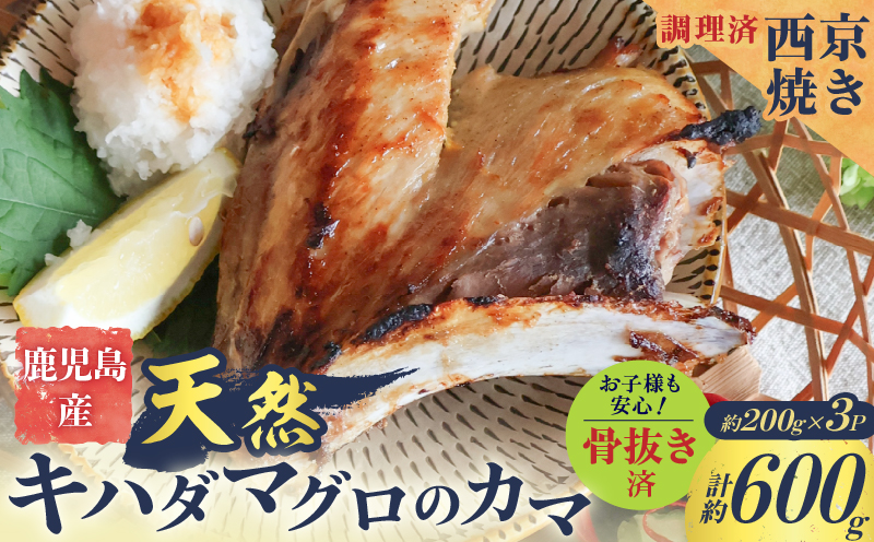 鹿児島産 天然 キハダマグロのカマ約200g×3P 調理済 （西京焼き）　K100-012_02