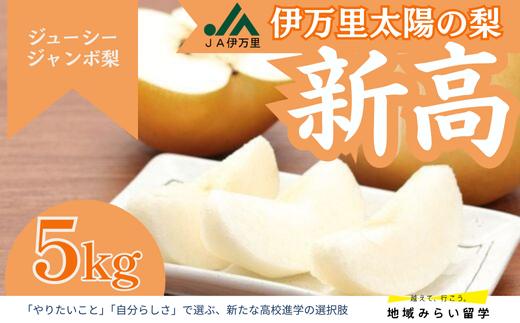 
            【JA伊万里】佐賀・伊万里梨「新高」大型種 5kg
          