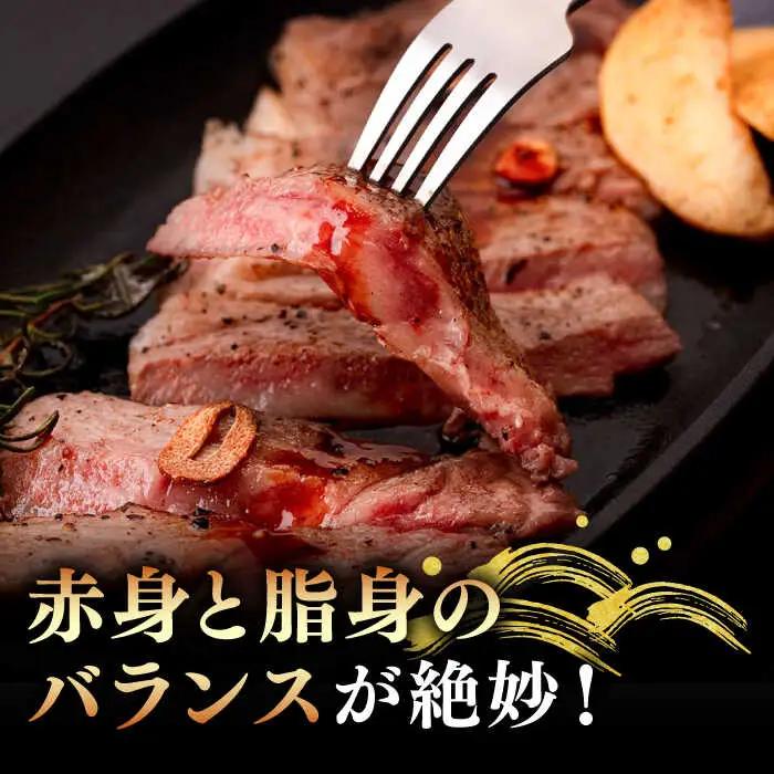 【敬老の日】サーロインステーキ 壱岐牛 200g×3枚 [JAA015] サーロインステーキ 黒毛和牛