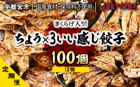 『定期便』宇都宮餃子　ちょう×3いい感じ餃子　合計100個　保存料不使用　全12回【配送不可地域：離島】