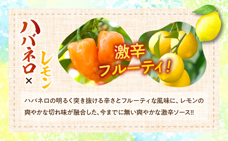 爽やか激辛食感 フルーティなハバネロソース 数量限定 宮崎 ハバネロ ソース 計4本 激辛ソース 調味料 おすすめ 加工品 オリジナル ブレンド 肉料理 パスタ ピザ ギフト プレゼント 贈り物 お取