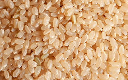 【令和7年産】特別栽培米はえぬき 玄米 30kg(30kg×1袋)　山形県鶴岡市 佐藤農園