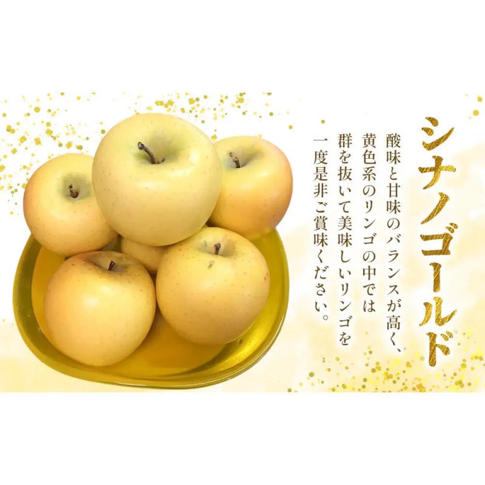 長野市産 シナノゴールド 3kg(7玉～12玉入り) りんご 信濃の味【2026年10月下旬頃より発送予定】 | りんご フルーツ