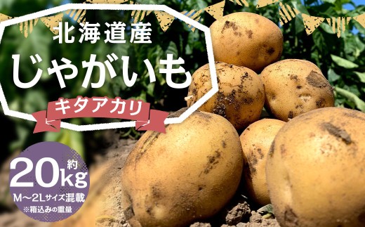 北海道産 じゃがいも キタアカリ M～2Lサイズ混載 約20kg 1箱 山田農場 きたあかり ジャガイモ 芋 いも イモ 野菜 国産 産地直送 京極町産 北海道産 【2026年9月下旬-2027年1月上旬迄発送予定】