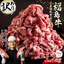 【ふるさと納税】＜訳あり＞限定 国産黒毛和牛 こま切れ食べ切りサイズ300g×4パック 合計1.2kg 小間切れ 牛肉 小分け お肉 F23R-551