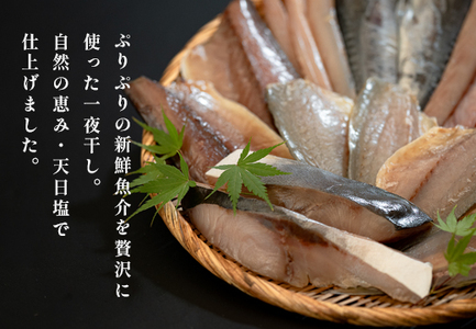 こだわりの一夜干しセット(12枚~15枚)