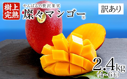 【2026年7月から順次発送・訳あり】燦々マンゴー2.4kg(4～6玉)【配送不可地域：離島】