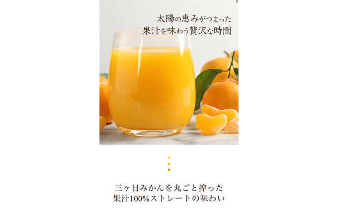和田農園の三ヶ日みかんを丸ごと搾ったみかんジュース 3種