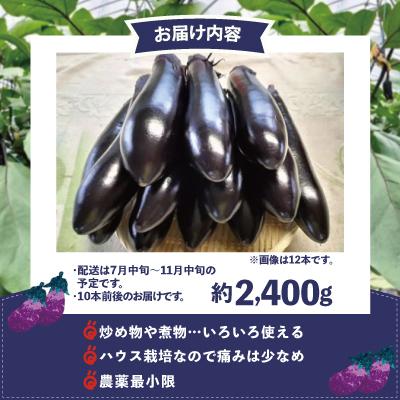 ふるさと納税 大館市 ナス 黒光りする太くて長い! 約2400g |  | 03