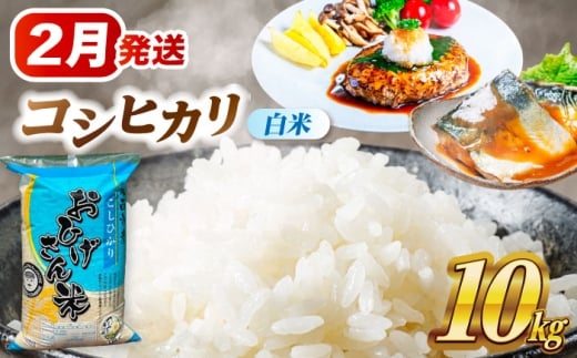 【2月発送】 コシヒカリ 白米 10㎏ 米 お米 10kg 10キロ 白米 精米 新米 コメ ご飯 ごはん 愛知県産 国産 県産米 国産米 コシヒカリ こしひかり 発送 時期 選べる 産地直送 30000円 3万円 令和7年 愛西市 / 脇野コンバイン[AECP022-6]