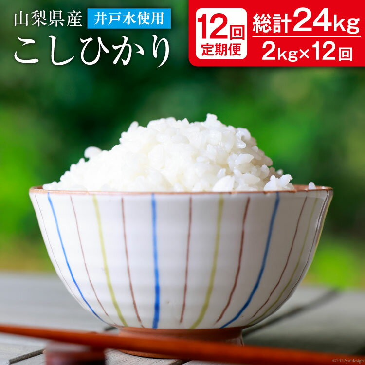 【ふるさと納税】【12回定期便】こしひかり 2kg×12回 コシヒカリ 2キロ お米 米 こめ コメ ご飯 ごはん 白米 精米 山梨県 中央市 送料無料