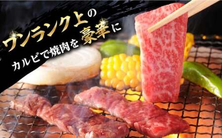【全6回定期便】焼肉 上 カルビ 500g 長崎和牛 A4?A5ランク 【野中精肉店】 [VF35] 肉 牛肉 カルビ 焼き肉 キャンプ BBQ バーベキュー 定期便