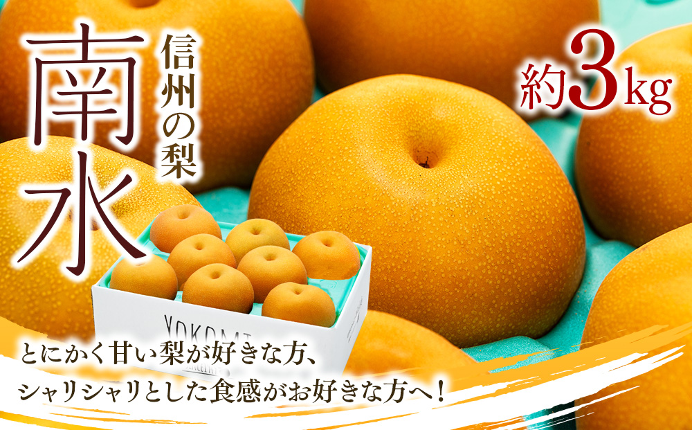 【2026年/令和8年発送分 】梨 長野 南水 約 3kg 信州の梨 フル