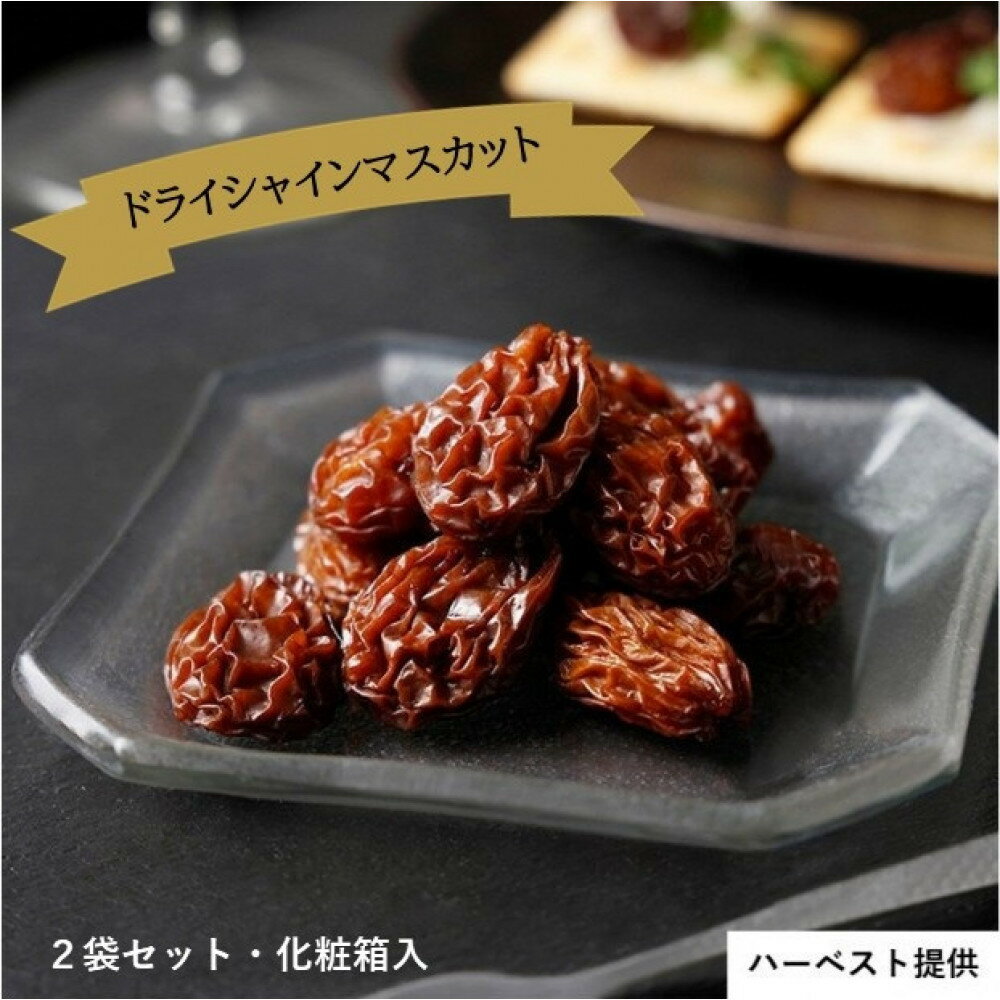 【ふるさと納税】ドライシャインマスカット（2袋セット・化粧箱入）