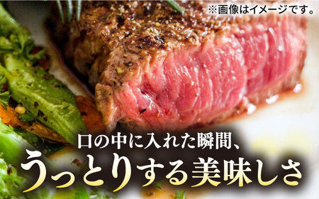 【全2回定期便】【30日間バター熟成】壱岐牛 A5ランク 希少部位 赤身ステーキ 200g×2枚（雌）部位おまかせ 《壱岐市》【KRAZY MEAT】 ステーキ 赤身 希少部位 牛肉 肉[JER091