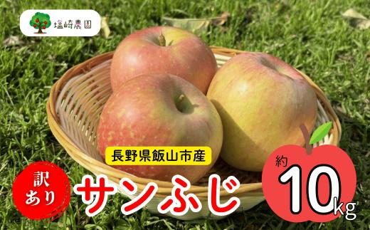 【先行予約】 【訳あり】サンふじ 【約10kg(22〜40玉）（2025年産）りんご サンふじ 訳あり 規格外 直送 好評 (7-A39-3)