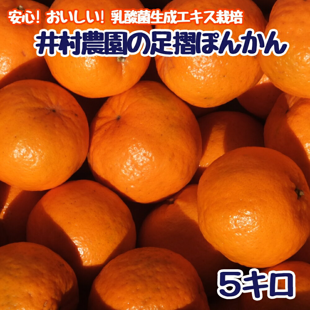 【ふるさと納税】R8.1月下旬発送 ご贈答◎ ギフト◎ 完熟 足摺ぽんかん 5kg デコポンの親 みかん 柑橘 果物 果実 ミカン ぽんかん ポンカン フルーツ おやつ デザート 5キロ 美味しい おいしい 国産 送料無料 高知 ギフト ふるさとのうぜい 故郷納税 返礼品【R01489】