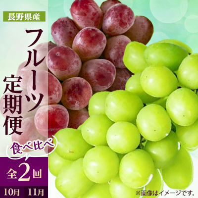 【発送月固定定期便】2027年発送 長野の果物 シャインマスカット+クイーンルージュ全2回【配送不可地域：離島】【4063521】