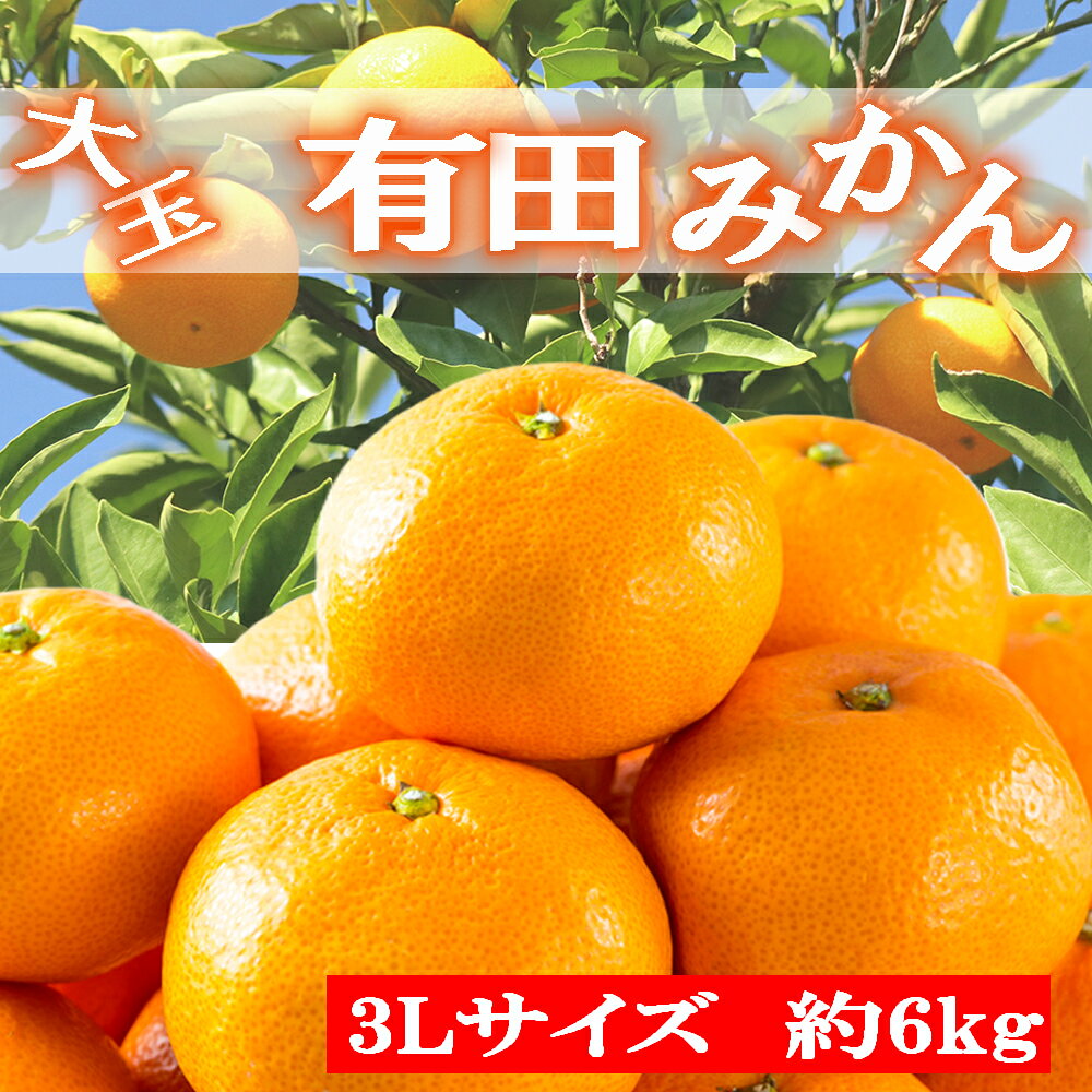 【ふるさと納税】 [秀品]和歌山有田みかん 6kg(3Lサイズ) ※2026年11月中旬〜2027年1月中旬頃順次発送予定（お届け日指定不可）