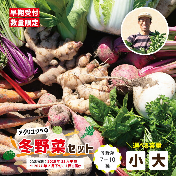 【ふるさと納税】【 選べる 容量 回数 】アグリユウベの冬野菜セット 小 大 早期受付 数量限定 とれたて 新鮮 単品 定期便 2回 3回 農家直送 国産 野菜便 やさい 野菜 冬野菜 旬 高知県 四万十市 四万十 しまんと 送料無料 【2026年11月中旬～2027年2月下旬に1回発送】