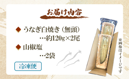 定期便 3回 うなぎ 白焼き 国産 120g 2尾 (無頭) 魚介 国産 海鮮 魚 かばやき 鰻 ウナギ 惣菜 おかず お手軽 加工品 加工食品 冷凍 Wun-0036