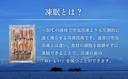 生冷凍ホタルイカ（凍眠） 300g 富山県 氷見市 ほたるいか しゃぶしゃぶ 冷凍