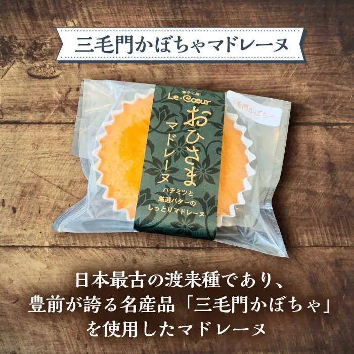 【全6回定期便】おひさまマドレーヌ8個詰め合わせ（プレーン・三毛門かぼちゃ各4）[VBI028]