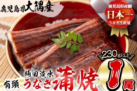 楠田の極うなぎ 蒲焼き 1尾(230g以上) 食べ応えのある大きな肉厚鰻