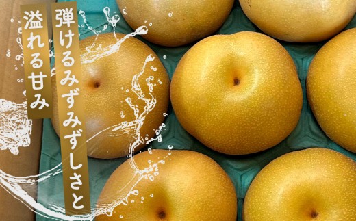 余瀬松本梨園 梨 豊水5kg 箱≪8月中旬～10月頃発送≫