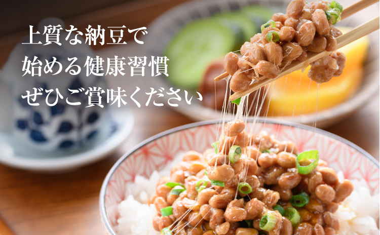 納豆 茨城名産 生板納豆 有機大豆 セット 6個 有限会社秋山食品《90日以内に出荷予定(土日祝除く)》茨城県 河内町 有機 納豆 茨城県産 茨城 ナットウキナーゼ たれ---kawachhi_aky
