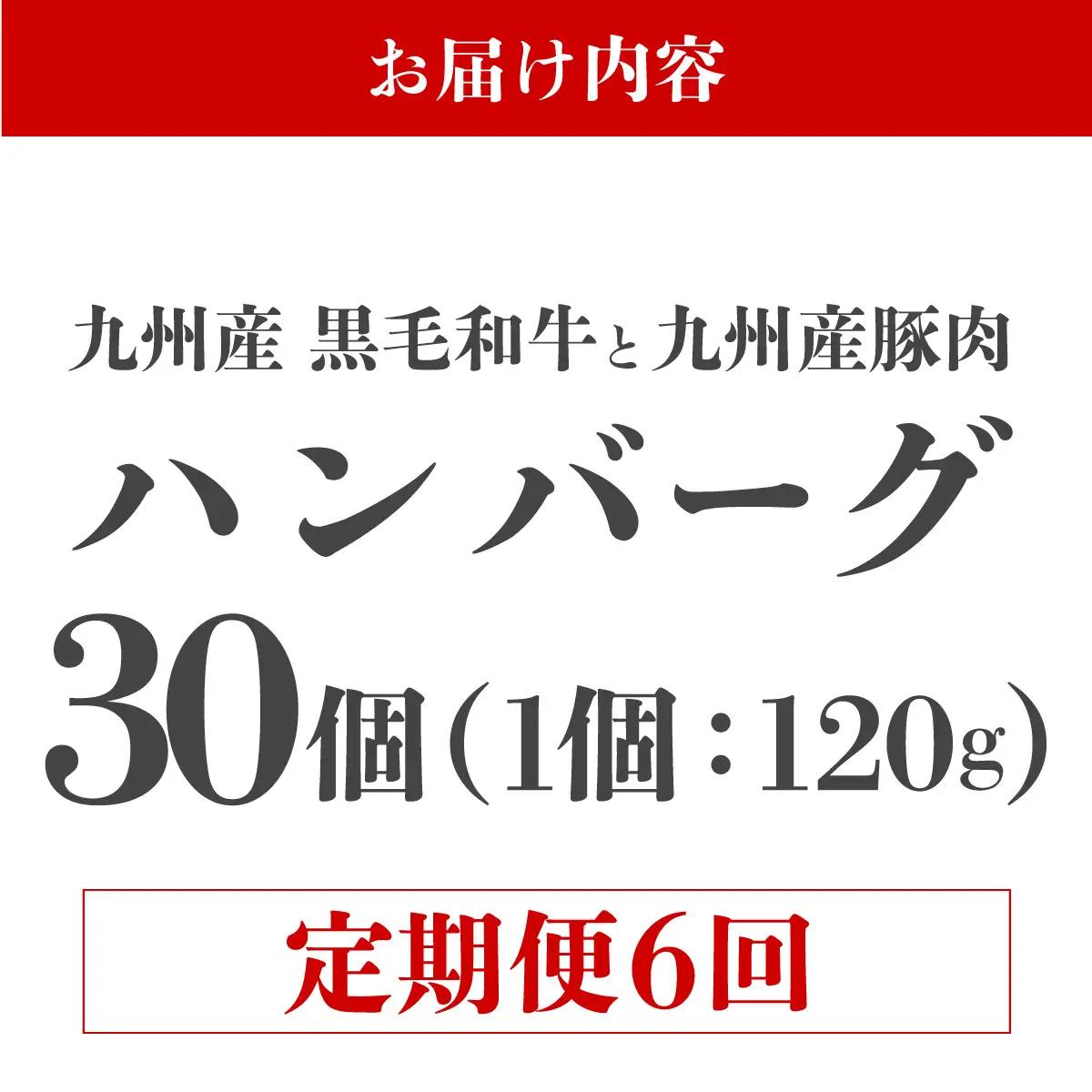 ＜定期便・全6回＞九州産黒毛和牛と九州産豚肉 ハンバーグ 30個セット