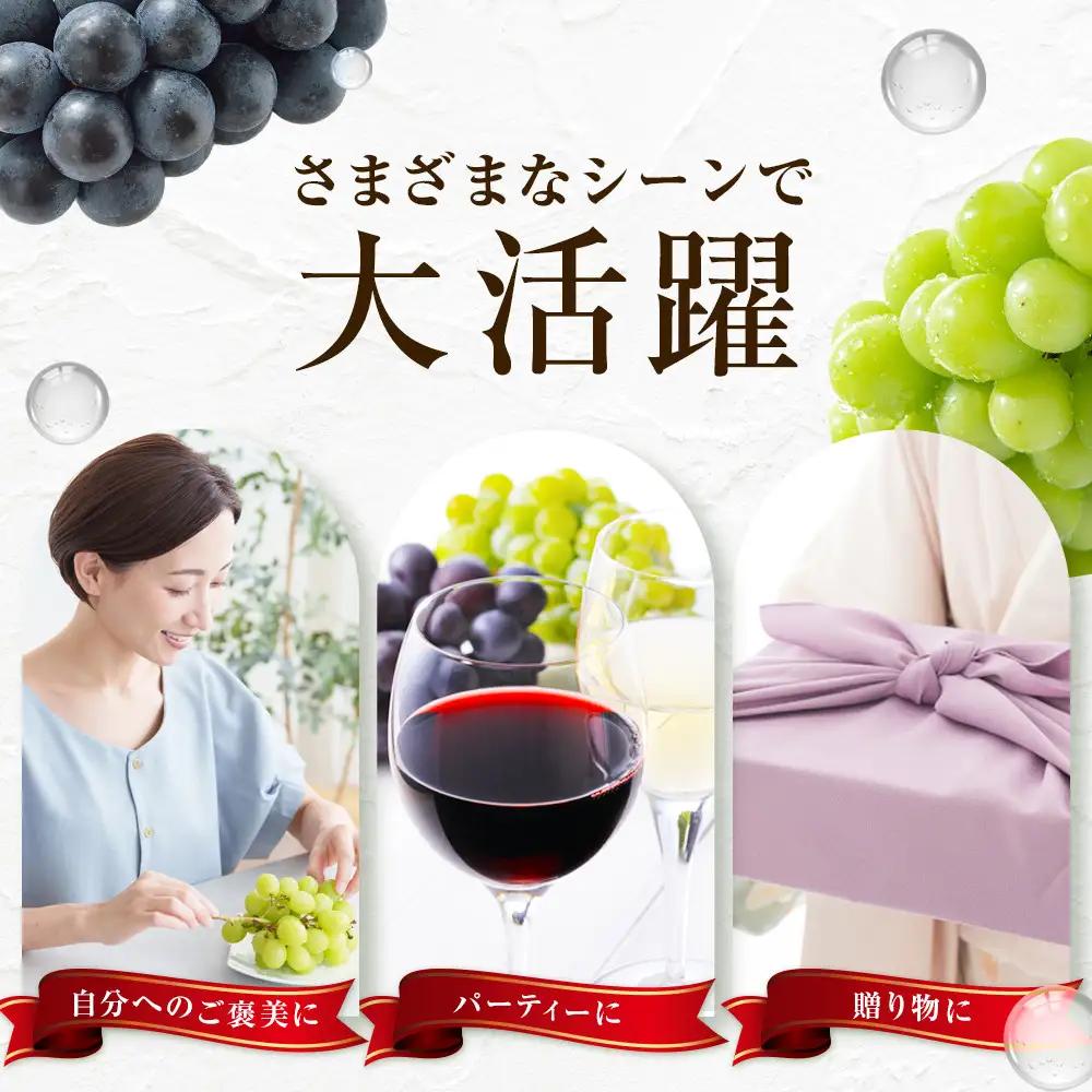 金オ岡村青果株式会社 長野市産 ナガノパープル2kg【2026年9月以降出荷分】ナガノパープル  | ぶどう ぶどう