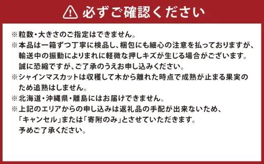 【 2回定期便 】 最高峰プレミアム 木熟ぶどう ハレノシャイン シャインマスカット 晴王 2房 合計約1.6kg以上 赤秀品以上 岡山県船穂産 果物 くだもの 果実 フルーツ 果汁 ぶどう 葡萄 ブ