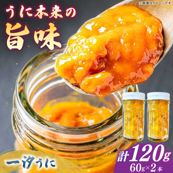 【ふるさと納税】一汐うに 60g×2本 ≪壱岐市≫【馬渡水産】 冷凍配送 雲丹 塩うに ご飯に合う 珍味 希少 お取り寄せ ウニ[JAQ014]