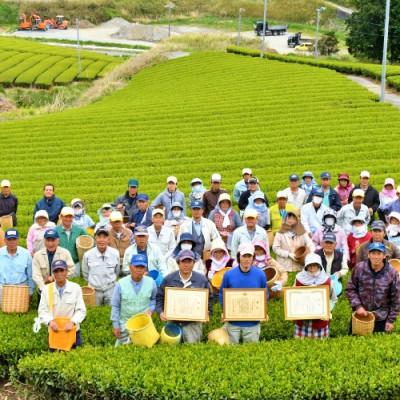 ふるさと納税 掛川市 iTQi国際味覚コンクール優秀味覚賞受賞茶　かごよせティーバッグ7袋セット |  | 03