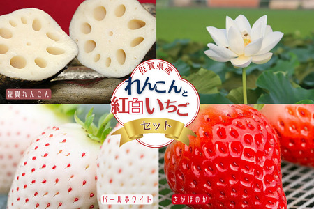 佐賀県産 れんこんと紅白いちごのセット：B240-008