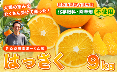 まーくん家の八朔 約9kg きただ農園まーくん家《2027年2月上旬-3月末頃出荷》和歌山県 紀の川市 柑橘 はっさく 化学肥料・除草剤不使用