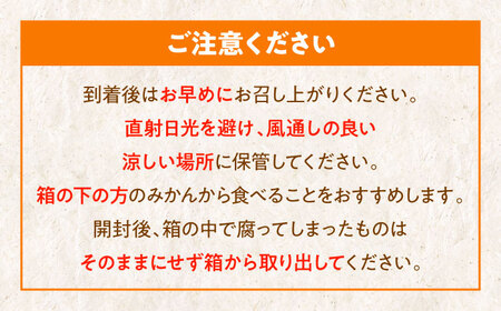 【先行予約】【11月下旬から順次発送】愛媛県産 峯田農園のとろける宝石柑橘「まどんな」2Lサイズ5玉又はLサイズ6玉　愛媛県大洲市/峯田農園[AGBT007]みかんミカン果物みかんミカン果物みかんミカ