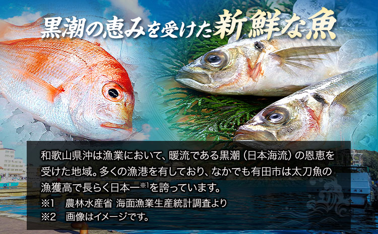 新鮮魚の鯛入り梅塩干物と湯浅醤油みりん干し7品種11尾入りの詰め合わせ（和歌山近海産の新鮮魚使用）《90日以内に出荷予定(土日祝除く)》---wsh_fgenhset7_90d_22_16000---