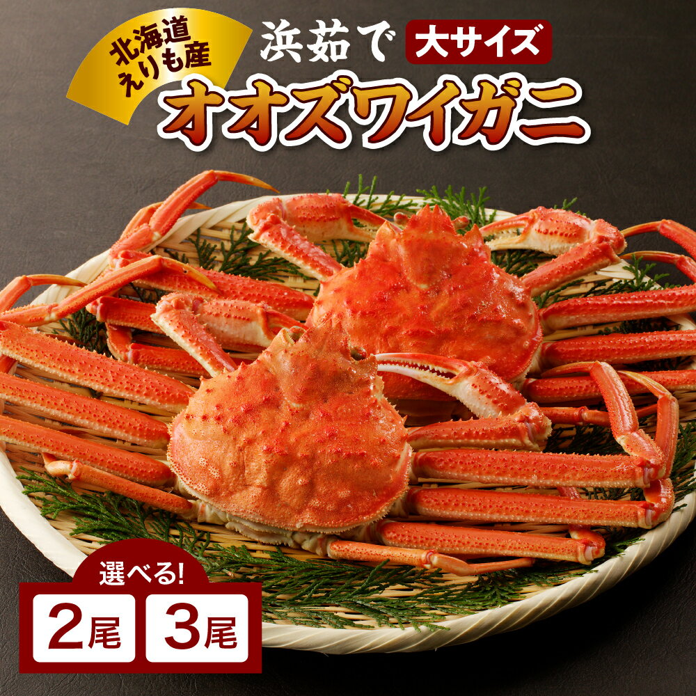 【ふるさと納税】高評価 浜茹で オオズワイガニ ( 選べる 2尾 600g / 3尾 900g ) かに カニ おおずわいがに おおずわい 蟹 大ズワイ 大ズワイガニ ズワイガニ ズワイ ボイル かにみそ 蟹みそ まるごと 大サイズ 国産 北海道 えりも町