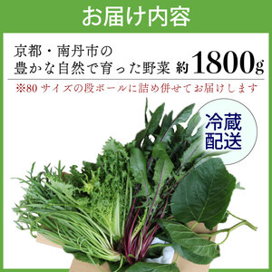 【爬虫類用】 季節の葉っぱ詰め合わせ セット 約 1.8kg 80サイズ ( 草食 雑食 爬虫類 ペットフード ペット リクガメ カメ イグアナ 動物 ごはん ご飯 おやつ 野菜 葉 葉野菜 旬 栄養