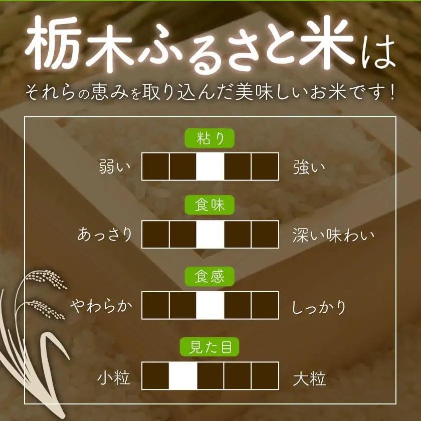 令和7年度産 米 栃木県産 コシヒカリ 白米 20kg《7-14日以内に出荷予定(土日祝除く)》栃木県 野木町 米 白米 精米 国産 お米 おこめ お弁当 おにぎり【栃木県共通返礼品】