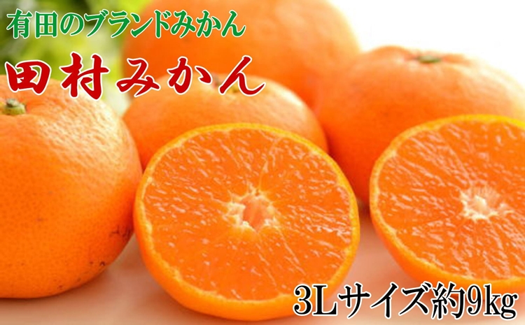 【有田のブランドみかん】田村みかん 大玉 約9kg (3Lサイズ)