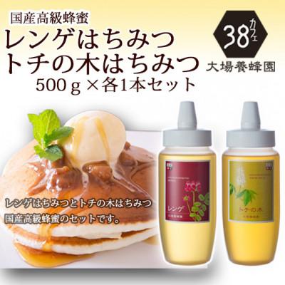 ふるさと納税 富山市 富山県産レンゲ蜂蜜500g×1本・トチの木蜂蜜500g×1本　セット