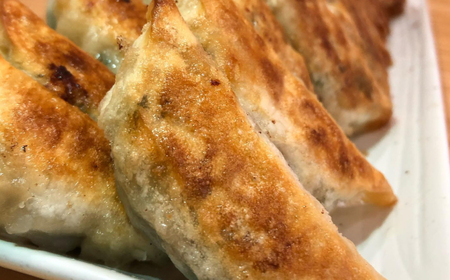 【1パック】餃子屋ヒロの ほんのりにんにく餃子【餃子屋ヒロ】開成町 餃子 点心 惣菜 冷凍[BDAS005-1]