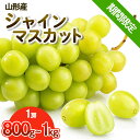 【ふるさと納税】【期間限定】希少！冬の大粒大房のシャインマスカット 秀品 1房(800g～1kg) FY23-710