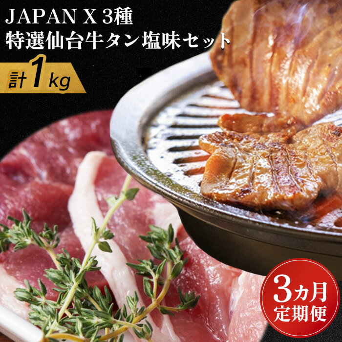 【ふるさと納税】【定期便:3ヶ月】 JAPANX3種800gと特選仙台牛タン塩味200g JAPANX ロース モモ 小間 仙台牛タン 塩 計1kg 豚肉 牛肉 JAL機内食 採用 定期便 3ヶ月 ふるさと納税 宮城県 白石 白石市【04162】