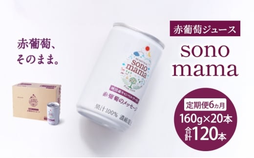 《 定期便 6ヵ月 》赤葡萄ジュース「sonomama」（160g×20本）ぶどう ブドウ ジュース ぶどうジュース 飲料