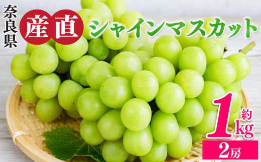 【先行予約】シャインマスカット 2房 （ 約1kg ）| フルーツ 果物 くだもの ぶどう 葡萄 ブドウ シャイン マスカット 奈良県 平群町